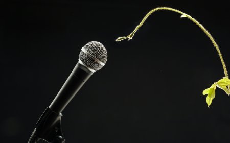 New Study: Your Houseplants Might Literally Be Crying for Help