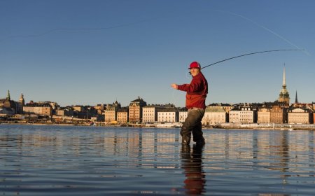 Getting Hooked On Urban Fly-Fishing In New York City