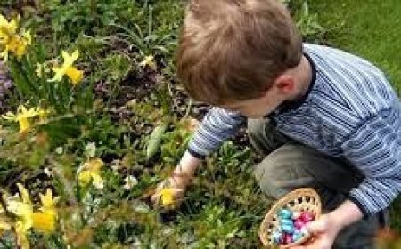 EGG-zactly Right Food for Camping, Glamping & RV