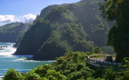 The Best Scenic American Highways For Your Next Road Trip 