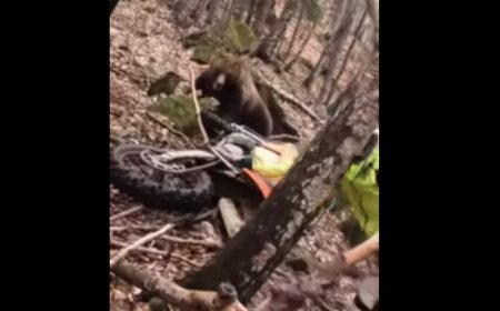 WATCH: Horrifying Video of a Bear Attacking Dirt Biker