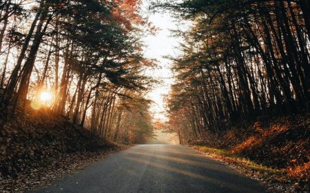 The Best Tennessee Weekend Getaways: Summer Vacations 2023