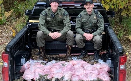 Manistee Fish Poachers Ordered To Pay $6,600