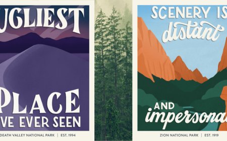 16 National Park Posters Based on Their Worst Review