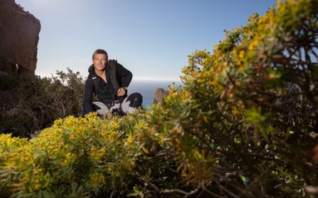 Cuppa Tree? Bear Grylls On How To Make Tea In The Wild