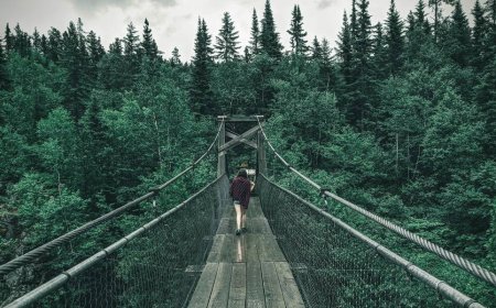 Top National Parks Near Los Angeles: Getaways 2023