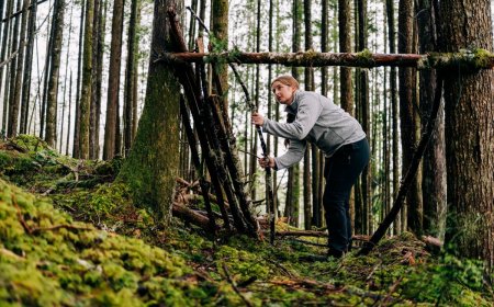 How To Create A Shelter When You’re Lost in the Woods