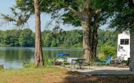 Cooking Tips for Campers, RV, Glamping, Tiny Home