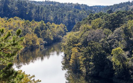 Discover Fun Cabin Rentals: Broken Bow, Oklahoma