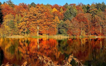 Top 5 Fall Glamping Destinations in the U.S. for Getaways in 2023