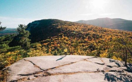 The Best Places for a New England Fall Foliage Road Trip