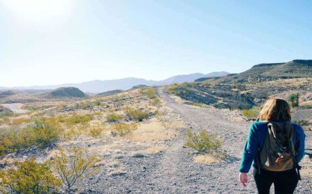 Big Bend National Park Travel Guide: Camping in Texas in 2023