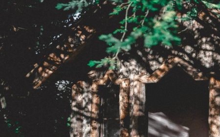 Top 10 Most Amazing Treehouse Rentals In The US 2023