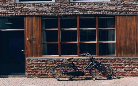 World Bicycle Day: Best Cycling Routes in California