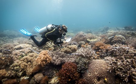 This Volcanic Microbe is Guzzling CO2—Could it Help Slow Climate Change?