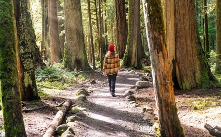 What’s Up With Soft Hiking?