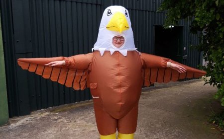 Dream Job? English Zoo Hiring Human To Scare Away ‘Ravenous’ Seagulls