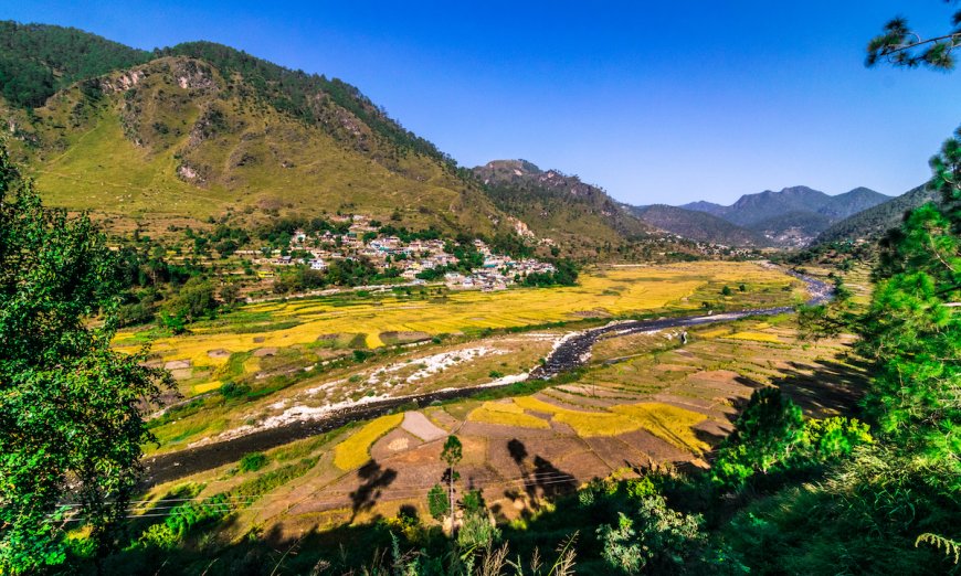 Could a Birdwatching Festival Really Save this Himalayan Town?