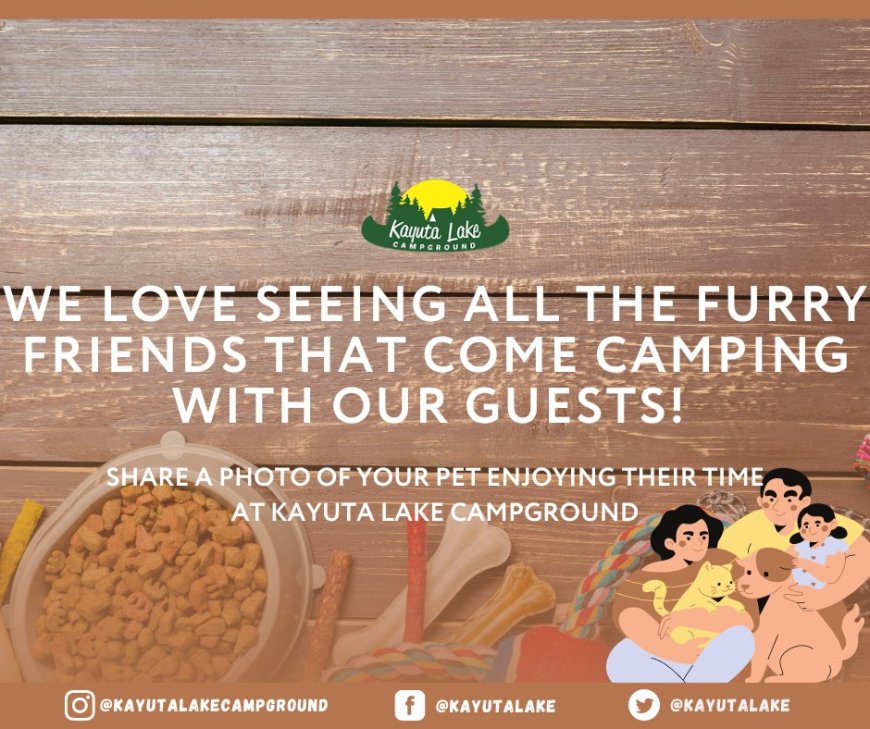 Hello campers!
We love seeing all the furry friends that come camping with our guests! Share a photo of your pet enjoying their time at Kayuta Lake Campground

Book online: http://www.kayuta.com
#kayutalakecampground #camping #Kayuta #campfire #day #suggestions #37dayscountdown