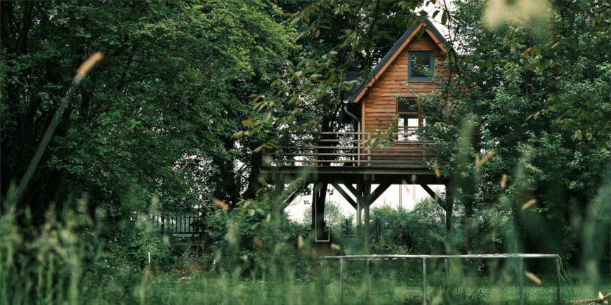 Top 5 treehouse rentals for weekend getaways, North Carolina
