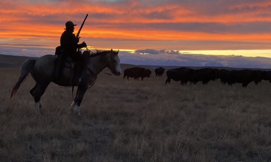 What it’s Like to be a Stuntman on Yellowstone