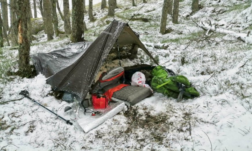 Lost In The Woods Without A Tent? Here’s What To Do, According To Megan Hine