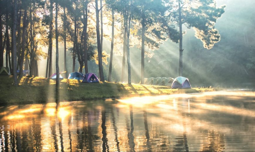 How To Never Pay For Camping Again