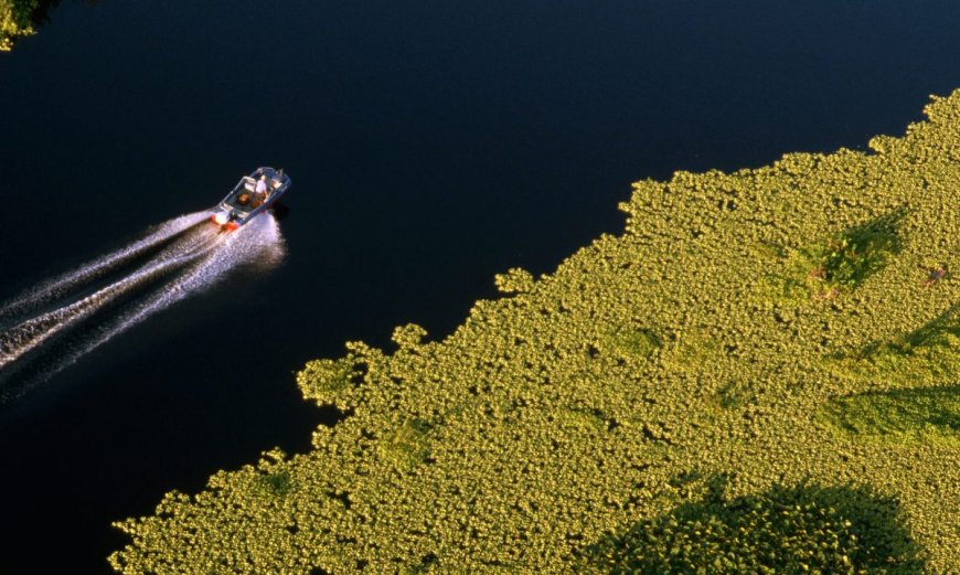 10 Best Places To Catch Bass