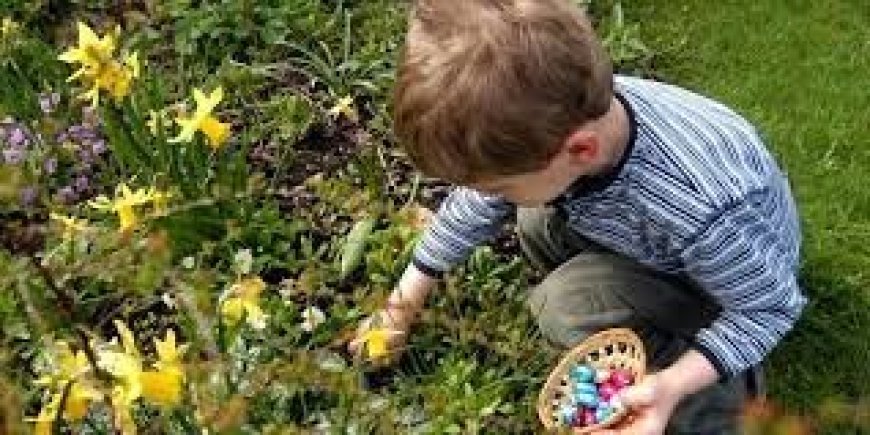 EGG-zactly Right Food for Camping, Glamping & RV