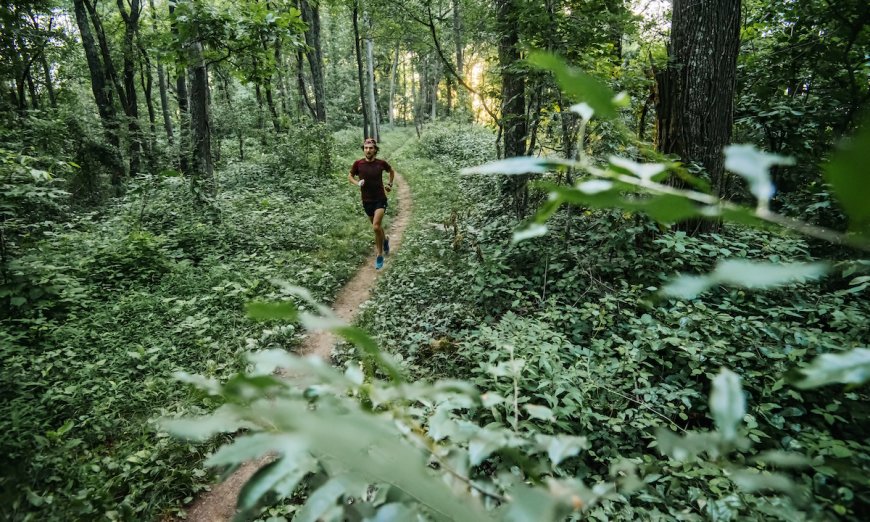 New Study: Could 6 Minutes of Exercise Per Day Make You Smarter?