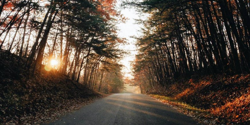 The Best Tennessee Weekend Getaways: Summer Vacations 2023