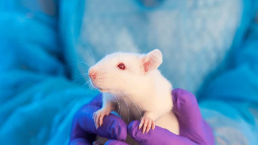 New PETA Simulator Subjects You to Alien Probes