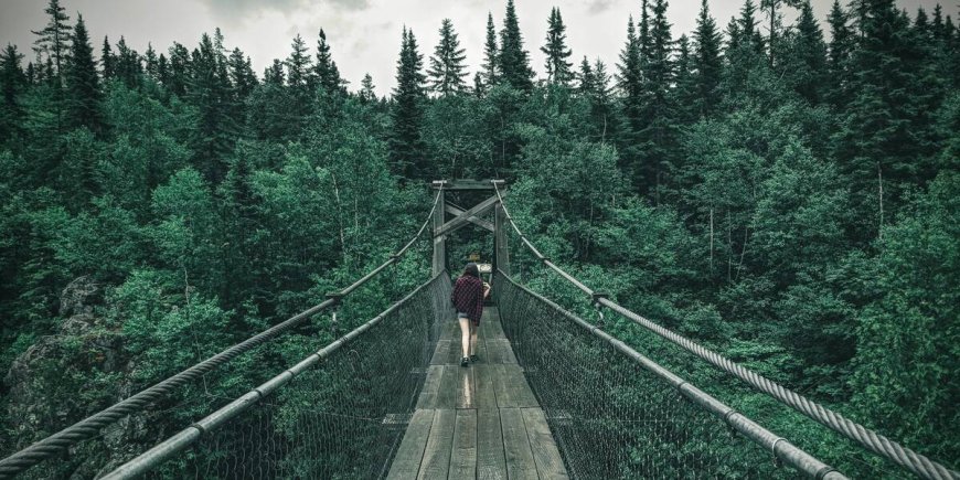 Top National Parks Near Los Angeles: Getaways 2023