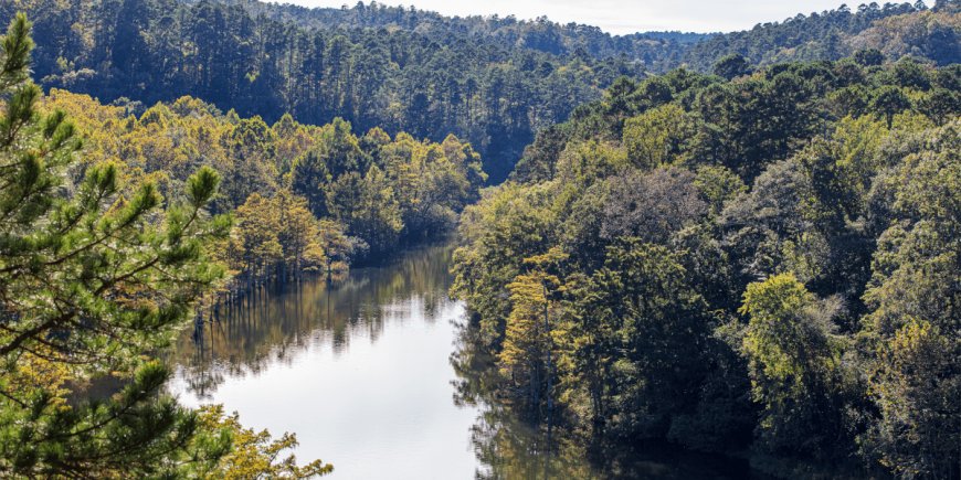 Discover Fun Cabin Rentals: Broken Bow, Oklahoma