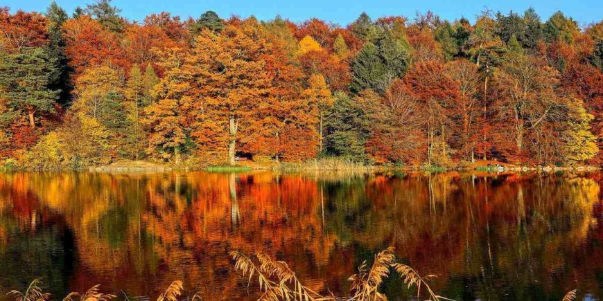 Top 5 Fall Glamping Destinations in the U.S. for Getaways in 2023
