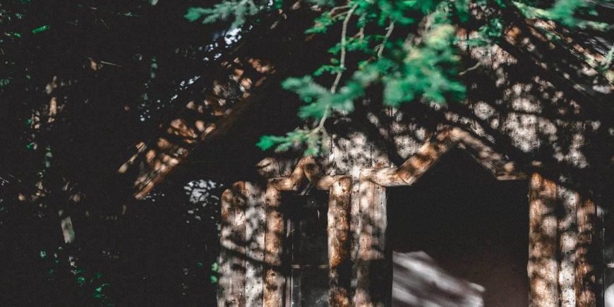 Top 10 Most Amazing Treehouse Rentals In The US 2023