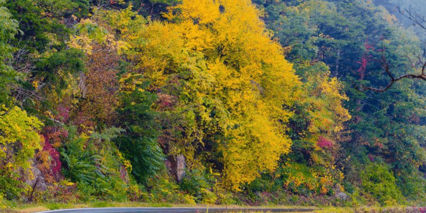 Shenandoah Valley’s Top 5 Weekend Getaways