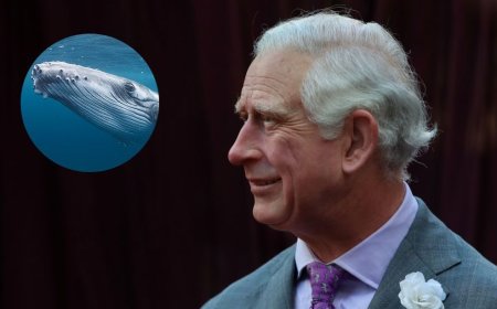 Coronation of Charles III: The Prince of Wales Will Become the King of the Whales