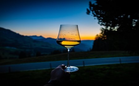 The Best Wine Regions in California: Travel Guide 2023