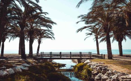 4 Reasons to Visit Málaga this Winter