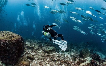 How To Get Scuba Certified: A Step-by-Step Guide