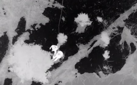 See the Moment Missing Glacier National Park Hiker Hoisted to Safety