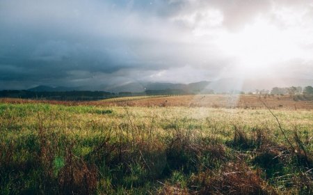 Your Guide to the Perfect Napa Valley! Vacation Ideas 2023