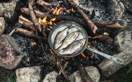 7 Tips for Campfire Cooking