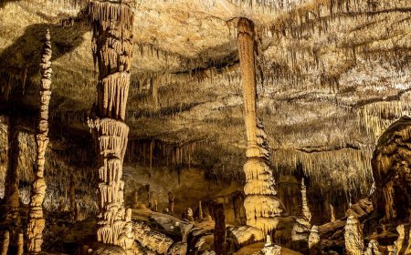 Caves, Tunnels, Sewers: How Bear Grylls Survives Underground