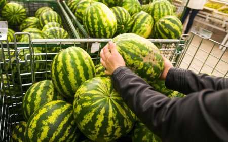 How To Pick the Best Watermelon in 3 Easy Steps