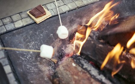 Great Snacks to Bring Camping