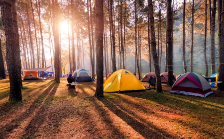 Camping Tips: Yes, You Can Rent a Tent