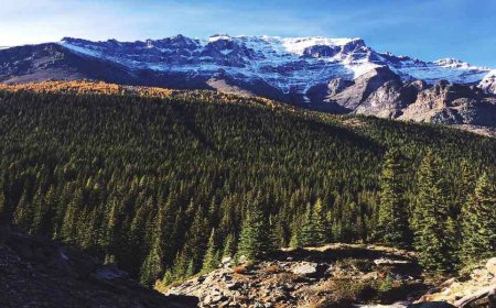 Best Toronto Vacation Rentals for Weekend Getaways