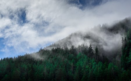 Top 5 British Columbia Vacation Rentals to Explore Jordan River, BC